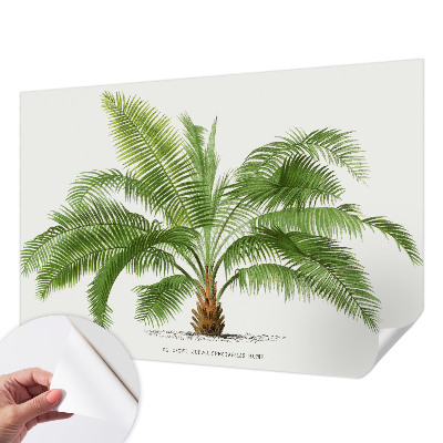 Fotomural decorativo para cabecero de cama con diseño de palmera brillante