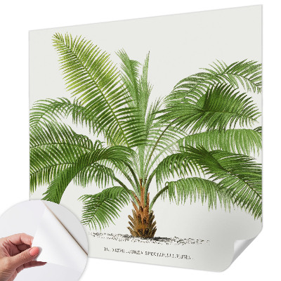 Fotomural decorativo para cabecero de cama con diseño de palmera brillante