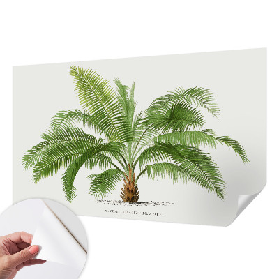 Fotomural decorativo para cabecero de cama con diseño de palmera brillante