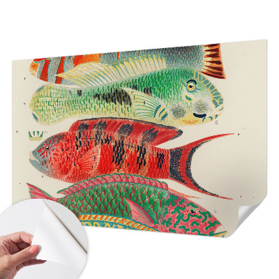 Papel mural con patrón decorativo con diseño de peces exóticos