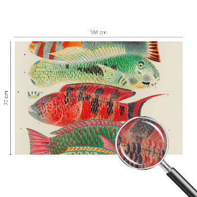 Papel mural con patrón decorativo Peces exóticos