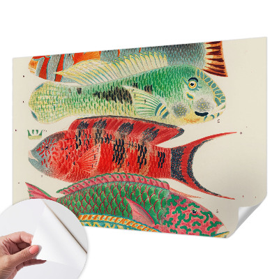 Papel mural con patrón decorativo Peces exóticos