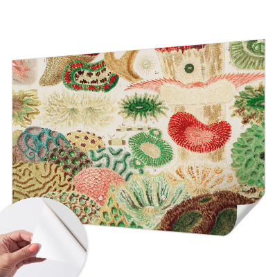 Mural de pared con estampado hermoso con formas orgánicas