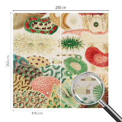 Mural de pared con estampado hermoso Formas orgánicas