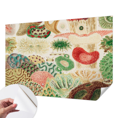 Mural de pared con estampado hermoso con formas orgánicas