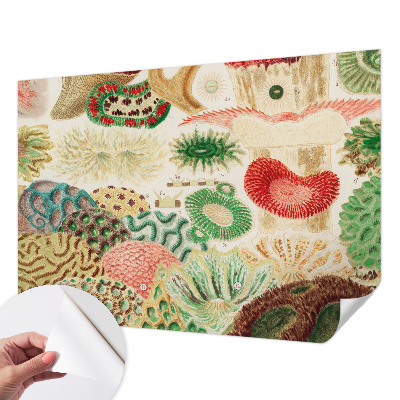 Mural de pared con estampado hermoso con formas orgánicas