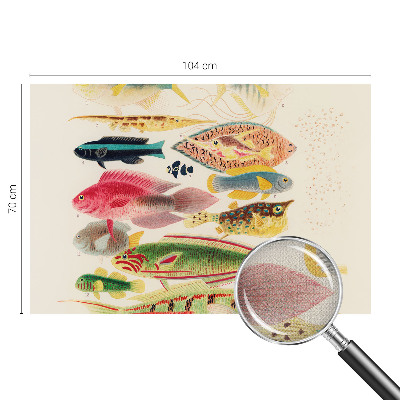 Papel mural texturado decorativo Peces coloridos