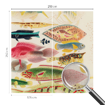 Papel mural texturado decorativo Peces coloridos