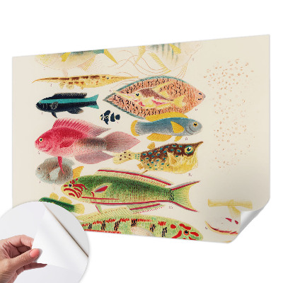 Papel mural texturado decorativo con diseño de peces coloridos