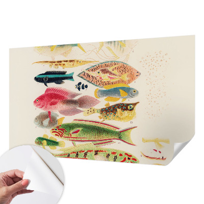 Papel mural texturado decorativo con diseño de peces coloridos