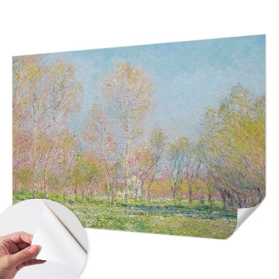 Papel mural con patrón decorativo con diseño 'Parque de primavera'