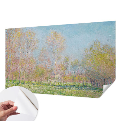 Papel mural con patrón decorativo Parque de primavera