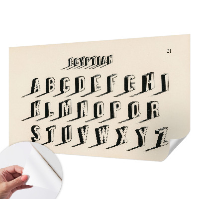 Mural de pared con estampado hermoso Ambiente vintage