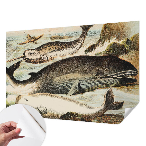 Papel mural con patrón decorativo gigantes marinos