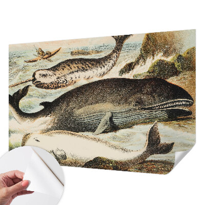 Papel mural con patrón decorativo gigantes marinos