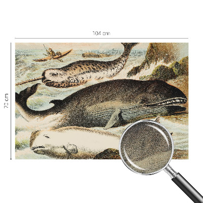 Papel mural con patrón decorativo gigantes marinos