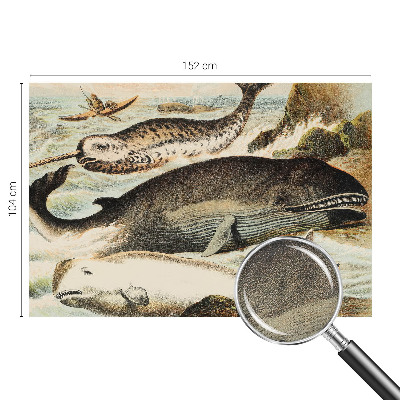 Papel mural con patrón decorativo gigantes marinos