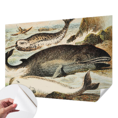 Papel mural con patrón decorativo con diseño de gigantes marinos