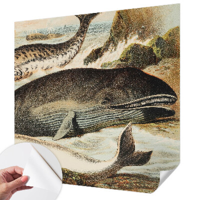 Papel mural con patrón decorativo con diseño de gigantes marinos