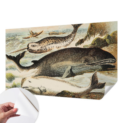 Papel mural con patrón decorativo gigantes marinos