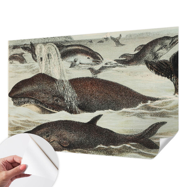 Mural de pared con estampado hermoso Criaturas marinas