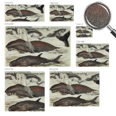 Mural de pared con estampado hermoso Criaturas marinas