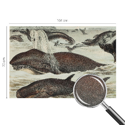 Mural de pared con estampado hermoso Criaturas marinas