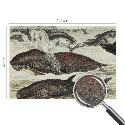 Mural de pared con estampado hermoso Criaturas marinas