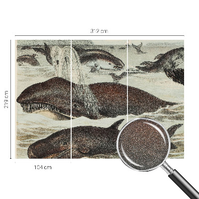 Mural de pared con estampado hermoso Criaturas marinas