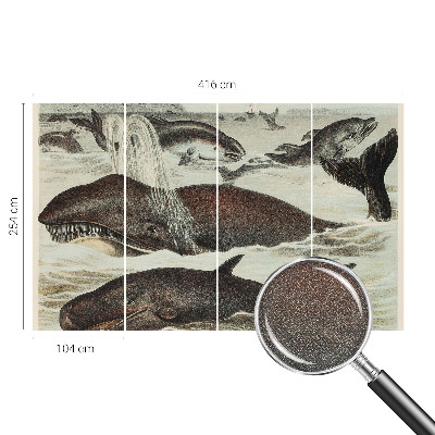 Mural de pared con estampado hermoso Criaturas marinas