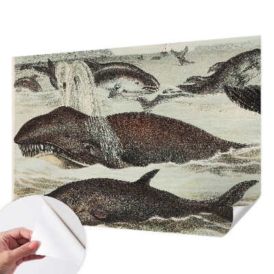 Mural de pared con estampado hermoso Criaturas marinas