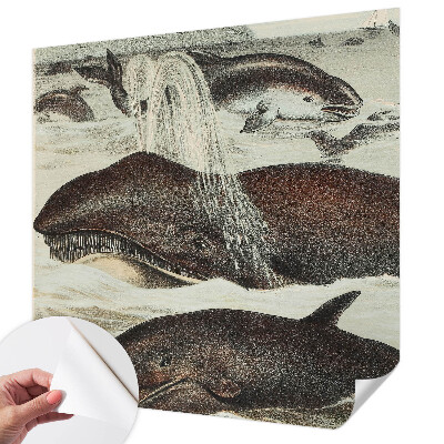 Mural de pared con estampado hermoso Criaturas marinas