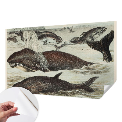 Mural de pared con estampado hermoso Criaturas marinas