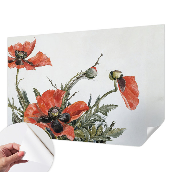 Papel mural texturado decorativo con motivo de amapolas rojas