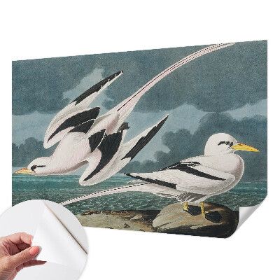 Papel mural con patrón decorativo con motivo de pájaros junto al mar