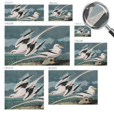 Papel mural con patrón decorativo Pájaros junto al mar