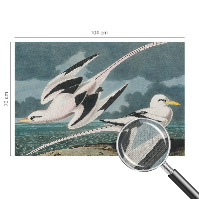 Papel mural con patrón decorativo Pájaros junto al mar