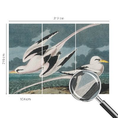 Papel mural con patrón decorativo Pájaros junto al mar