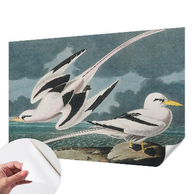 Papel mural con patrón decorativo Pájaros junto al mar