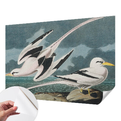 Papel mural con patrón decorativo Pájaros junto al mar