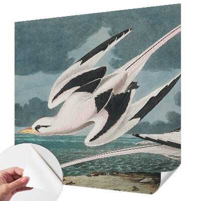 Papel mural con patrón decorativo Pájaros junto al mar