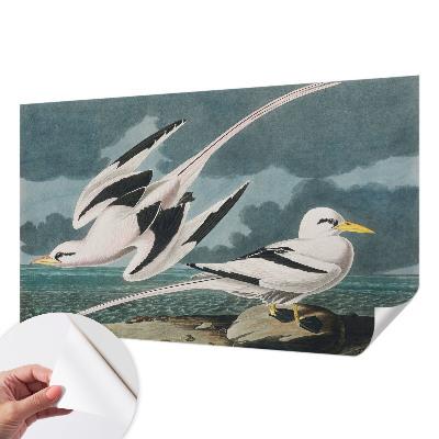 Papel mural con patrón decorativo Pájaros junto al mar