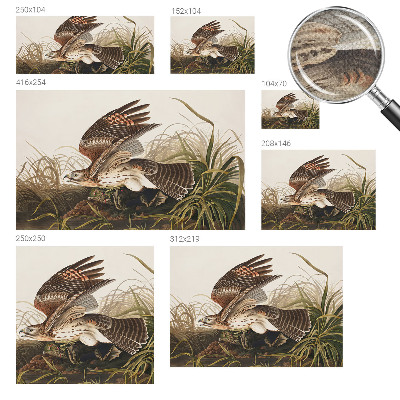 Mural de pared con estampado hermoso Belleza alada