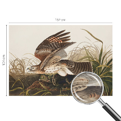 Mural de pared con estampado hermoso Belleza alada