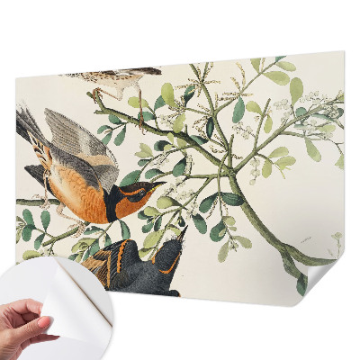 Papel mural con patrón decorativo con pájaros coloridos