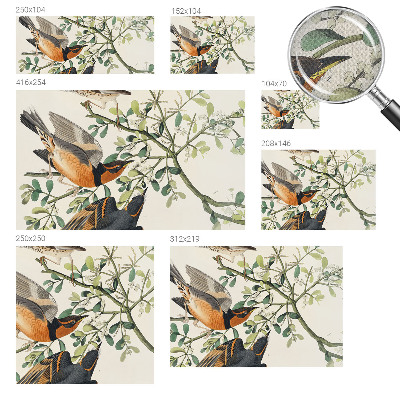 Papel mural con patrón decorativo Pájaros coloridos