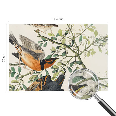 Papel mural con patrón decorativo con pájaros coloridos