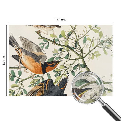 Papel mural con patrón decorativo con pájaros coloridos