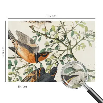 Papel mural con patrón decorativo con pájaros coloridos