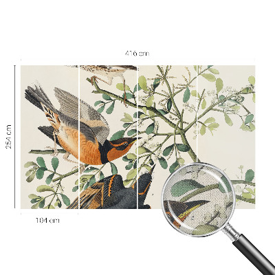 Papel mural con patrón decorativo con pájaros coloridos